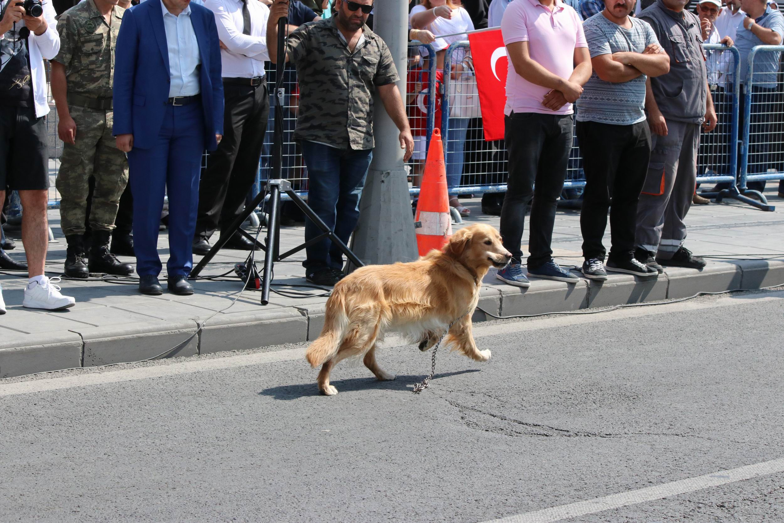 Kayseri’de Zafer Bayramında arama köpeği kaçtı