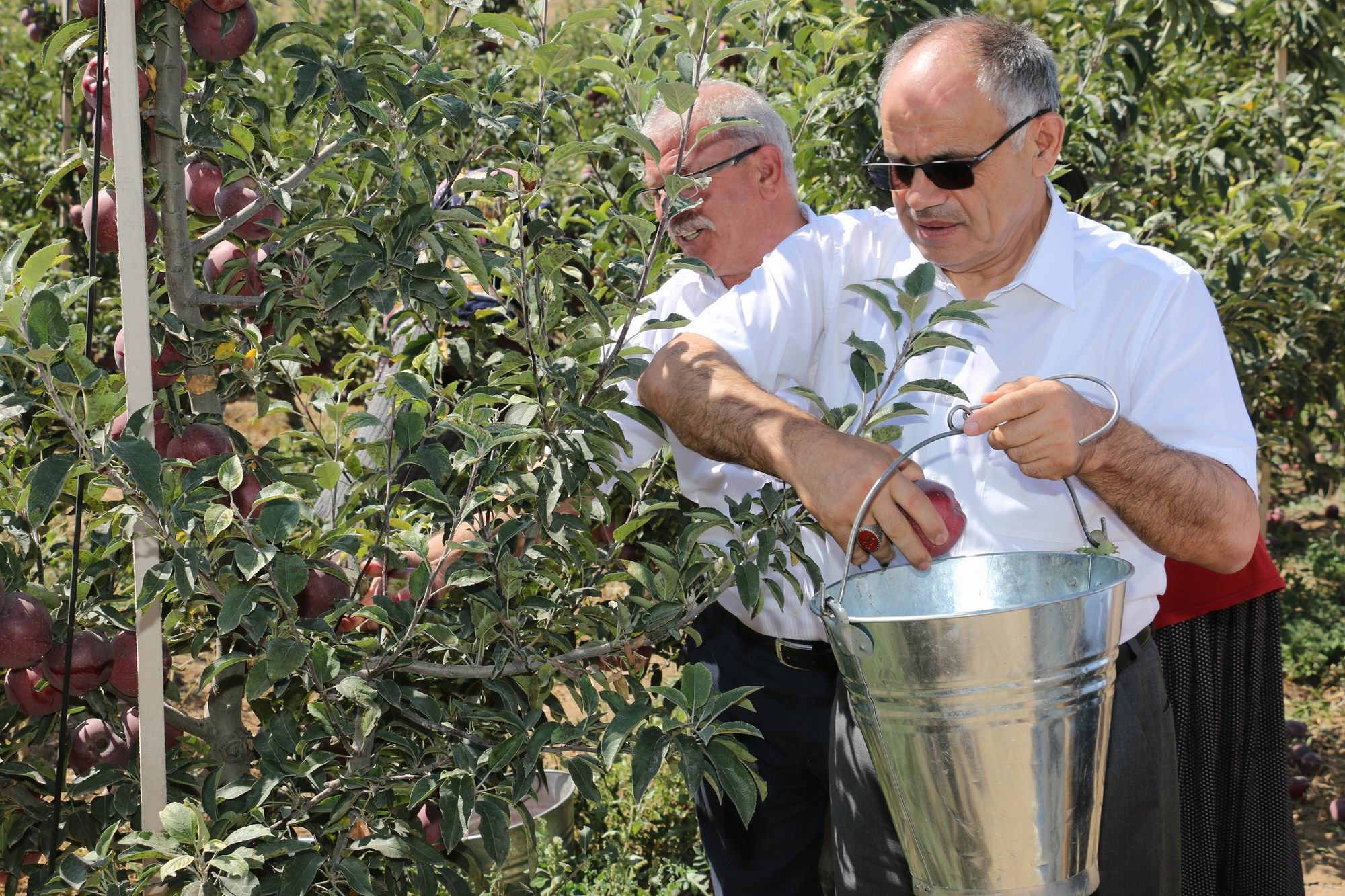 Başkan Öztürk: “Yahyalı’da elma üretimi modernleşmeli”