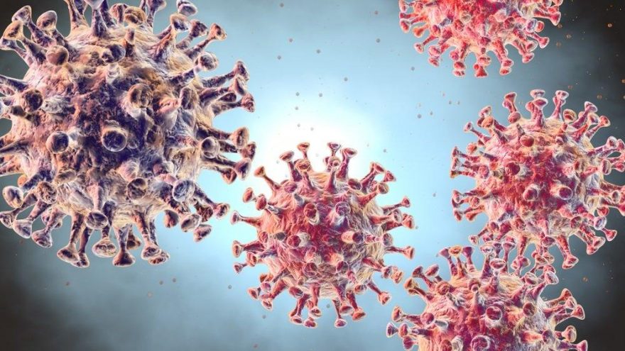Korona virüsün gen haritası çıkarıldı