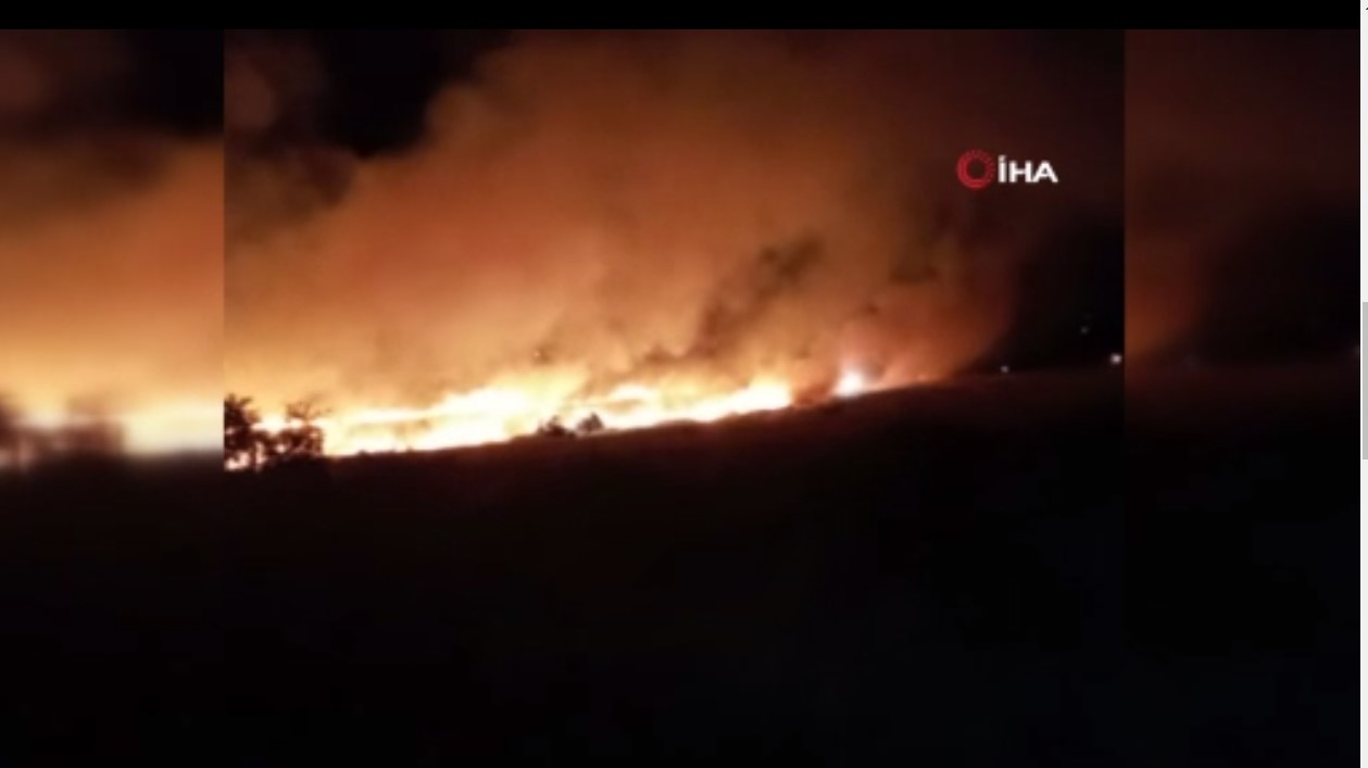 Kayseri’de çıkan yangında 55 dönüm ekili alan küle döndü
